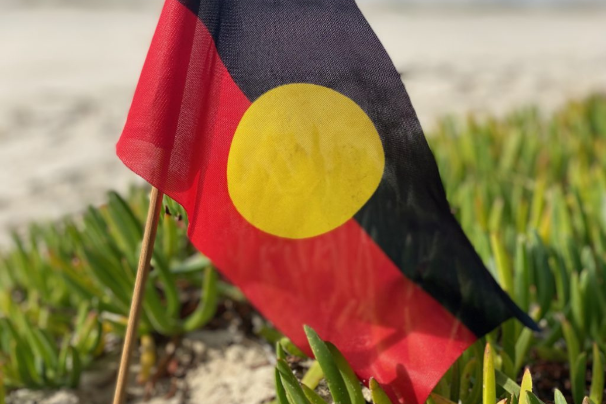 Aboriginal flag on a small pole planted in ground among green coastal plants.